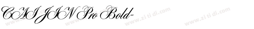 CAIJIN Pro Bold字体转换